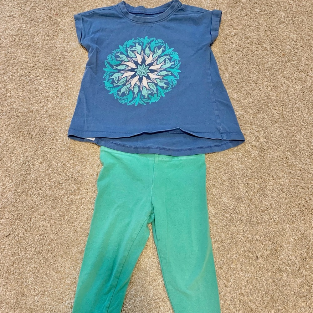 Tea Collection Toddler Girls Fish/Bird Tee and Mini Boden Turquoise Leggings